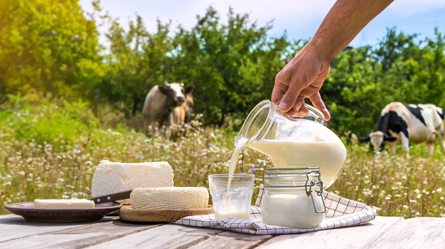 Farm Fresh Milk